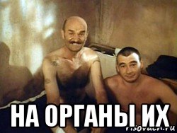  на органы их, Мем Ть