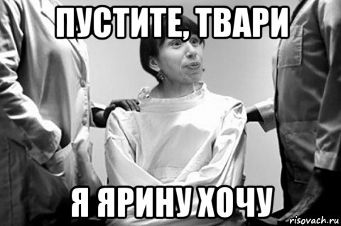 пустите, твари я ярину хочу, Мем Тетяна Чорновіл