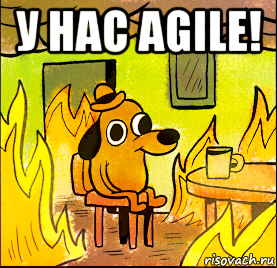 у нас agile! 