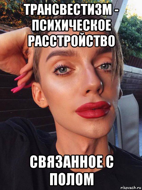 трансвестизм - психическое расстройство связанное с полом, Мем Толерастия провокацияреакция на внимание