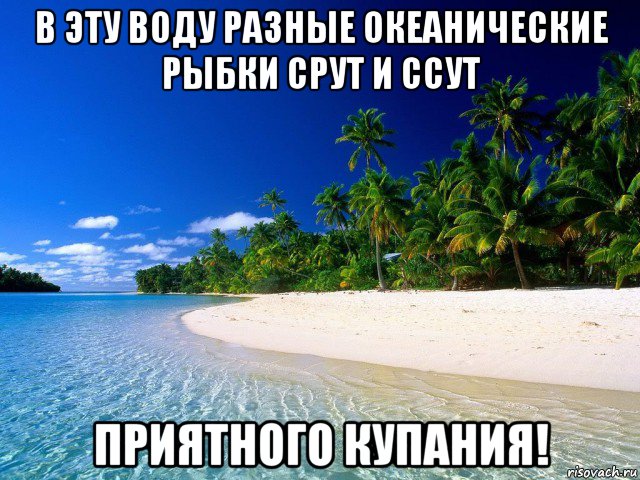 в эту воду разные океанические рыбки срут и ссут приятного купания!, Мем Товарищ - так выглядит Коммунизм