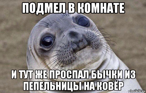 подмел в комнате и тут же проспал бычки из пепельницы на ковёр