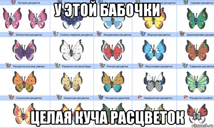 у этой бабочки целая куча расцветок, Мем У этой бабочки