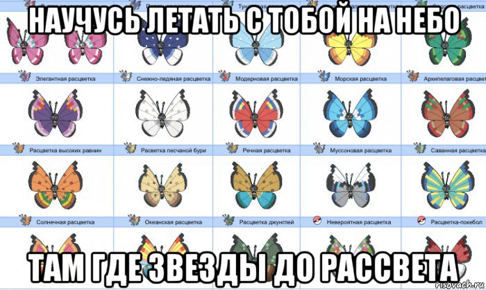 научусь летать с тобой на небо там где звезды до рассвета, Мем У этой бабочки