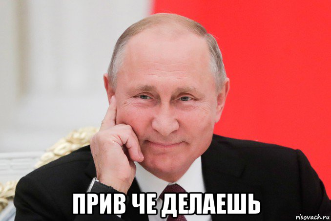  прив че делаешь, Мем ВЛАДИМИР ПУТИН