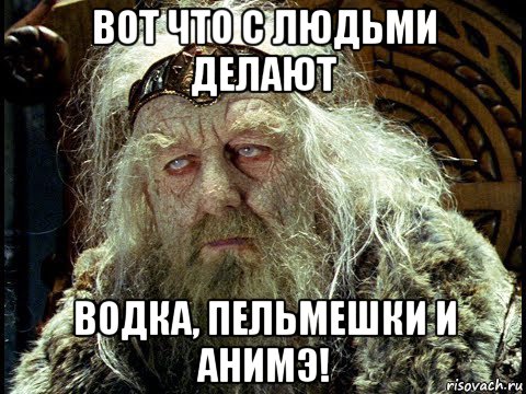 вот что с людьми делают водка, пельмешки и анимэ!, Мем Власть