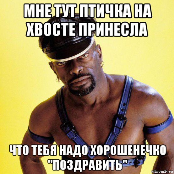 мне тут птичка на хвосте принесла что тебя надо хорошенечко "поздравить", Мем Властелин