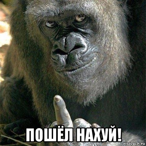  пошёл нахуй!, Мем Я думаю так