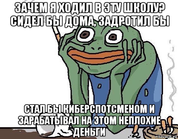 зачем я ходил в эту школу? сидел бы дома, задротил бы стал бы киберспотсменом и зарабатывал на этом неплохие деньги, Мем Жаба курит