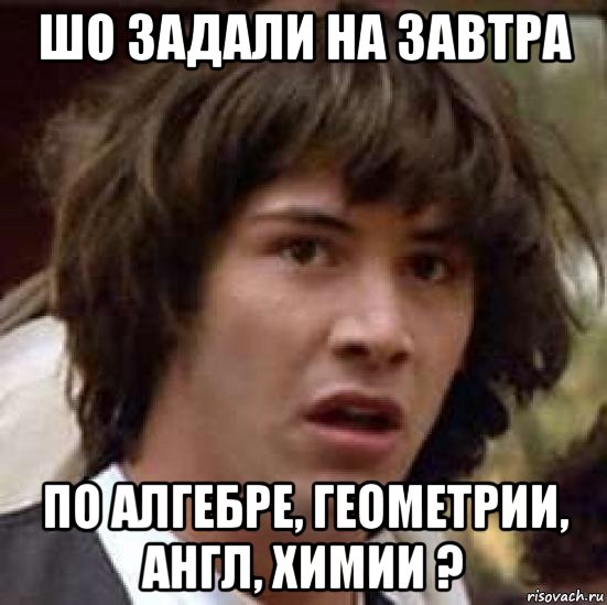 шо задали на завтра по алгебре, геометрии, англ, химии ?, Мем А что если (Киану Ривз)