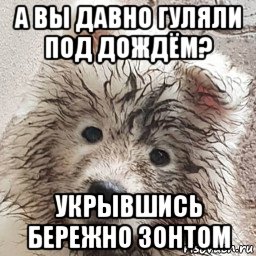 а вы давно гуляли под дождём? укрывшись бережно зонтом, Мем А вы давно гуляли под дождём