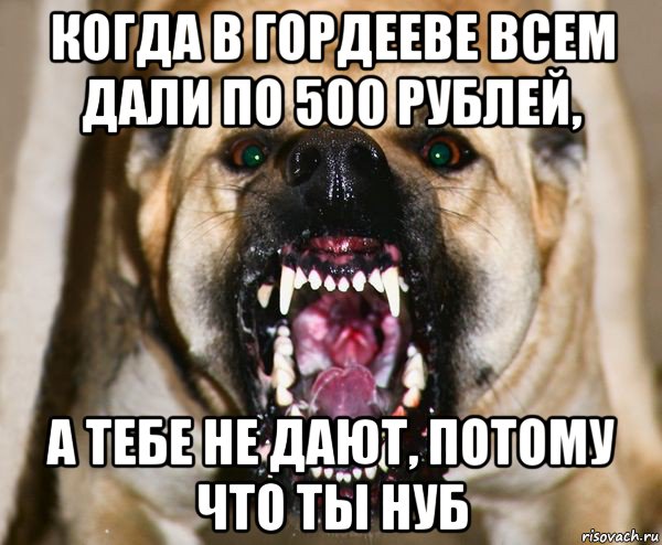 когда в гордееве всем дали по 500 рублей, а тебе не дают, потому что ты нуб, Мем бешеная собака