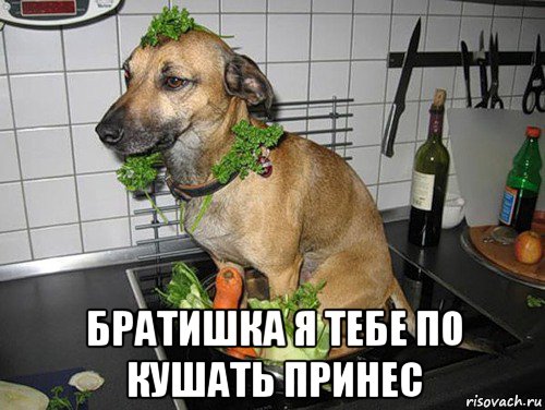  братишка я тебе по кушать принес