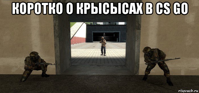 коротко о крысысах в cs go 