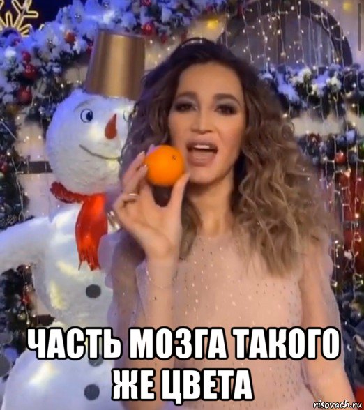  часть мозга такого же цвета