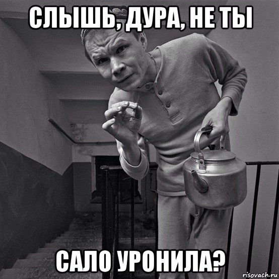 слышь, дура, не ты сало уронила?