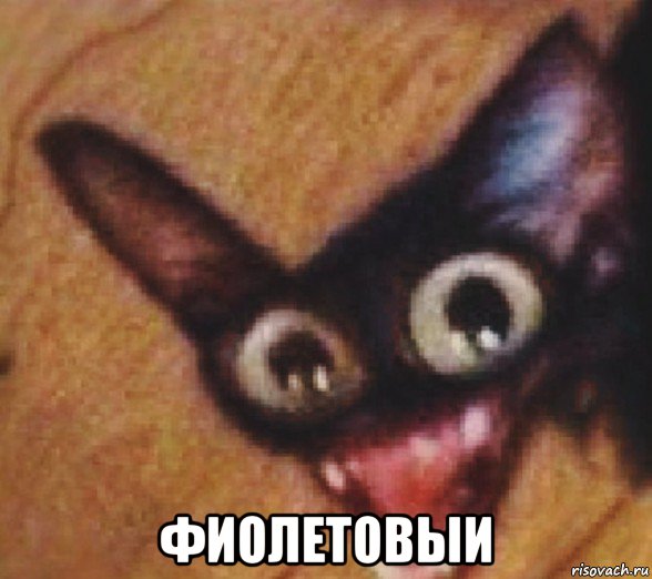  фиолетовыи