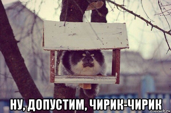  ну, допустим, чирик-чирик, Мем Чирик-чирик