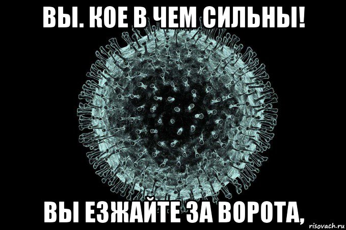 вы. кое в чем сильны! вы езжайте за ворота,