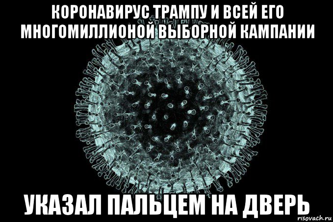 коронавирус трампу и всей его многомиллионой выборной кампании указал пальцем на дверь