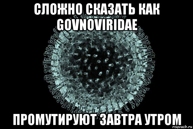 сложно сказать как govnoviridae промутируют завтра утром