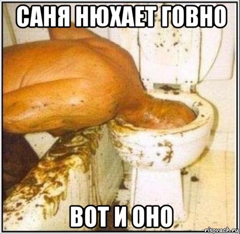 саня нюхает говно вот и оно, Мем Дайвер