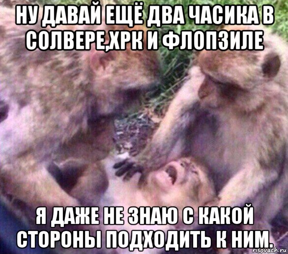 ну давай ещё два часика в солвере,хрк и флопзиле я даже не знаю с какой стороны подходить к ним., Мем Дайте мне спокойно умереть