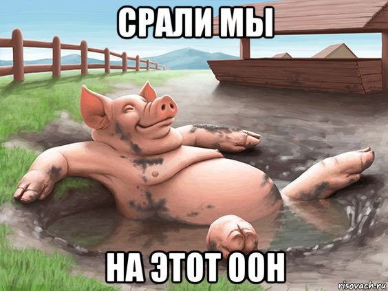 срали мы на этот оон