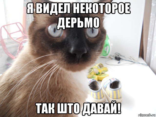 я видел некоторое дерьмо так што давай!