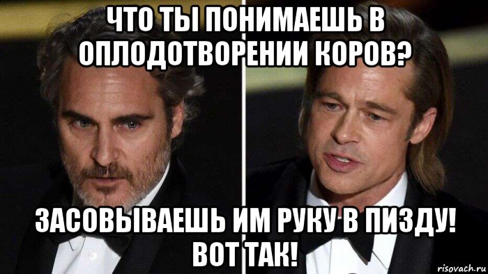 что ты понимаешь в оплодотворении коров? засовываешь им руку в пизду! вот так!, Мем Дурики