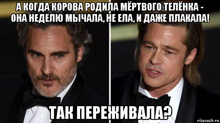 а когда корова родила мёртвого телёнка - она неделю мычала, не ела, и даже плакала! так переживала?, Мем Дурики