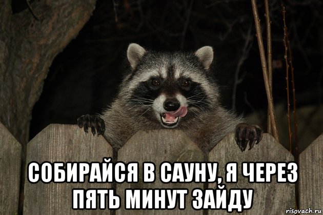  собирайся в сауну, я через пять минут зайду, Мем Енот зомби