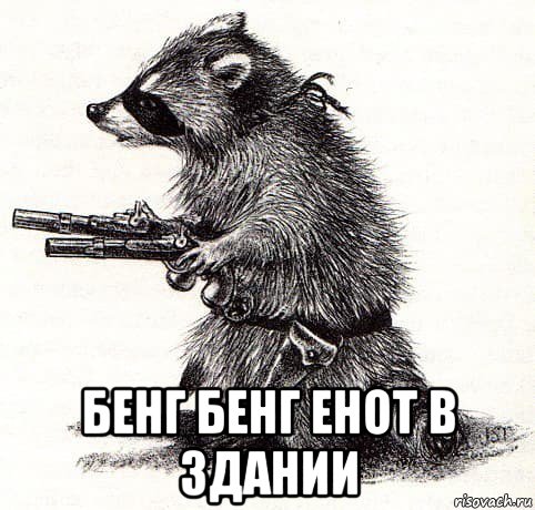  бенг бенг енот в здании, Мем Енот