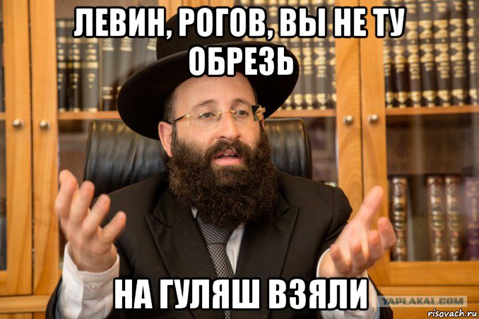 левин, рогов, вы не ту обрезь на гуляш взяли, Мем Еврей
