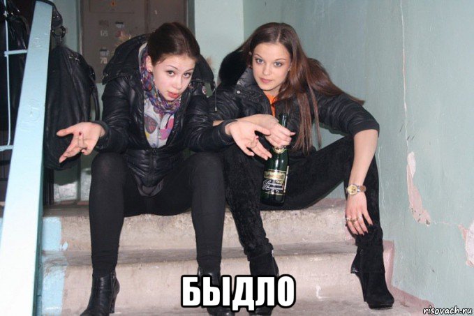 быдло, Мем Гопницы