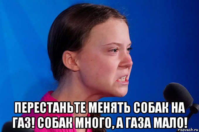  перестаньте менять собак на газ! собак много, а газа мало!