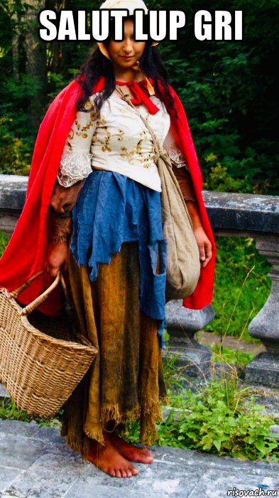 salut lup gri , Мем Gypsy