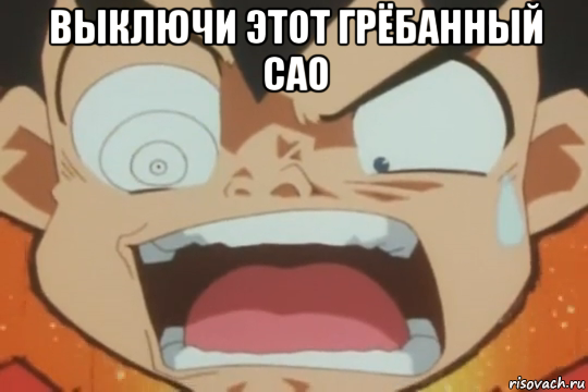 выключи этот грёбанный сао 