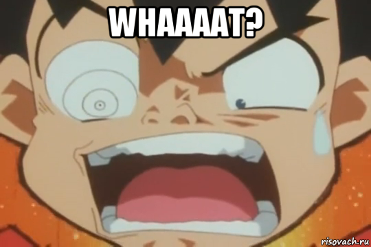 whaaaat? 