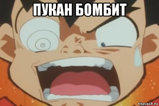 пукан бомбит 