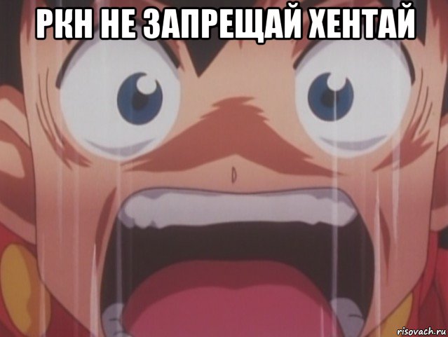 ркн не запрещай хентай 
