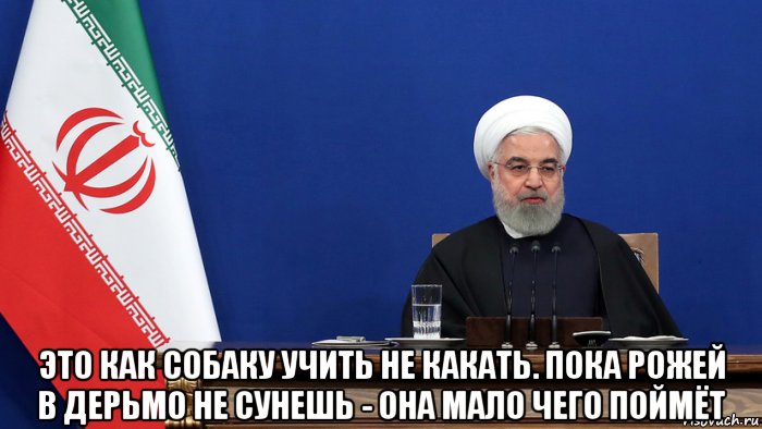  это как собаку учить не какать. пока рожей в дерьмо не сунешь - она мало чего поймёт, Мем Иран