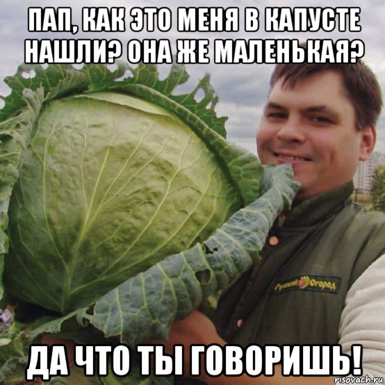 пап, как это меня в капусте нашли? она же маленькая? да что ты говоришь!, Мем Капуста