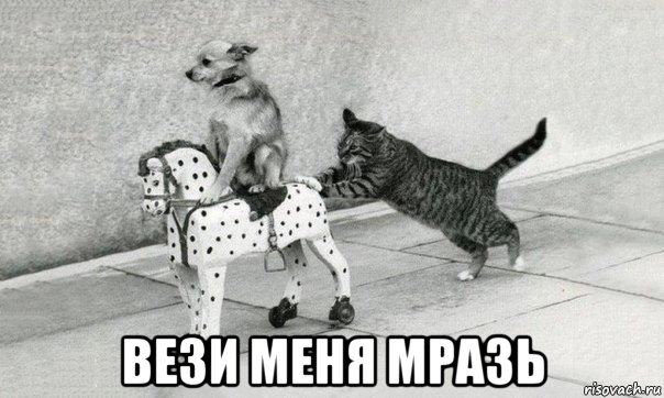  вези меня мразь, Мем Катись к хуям