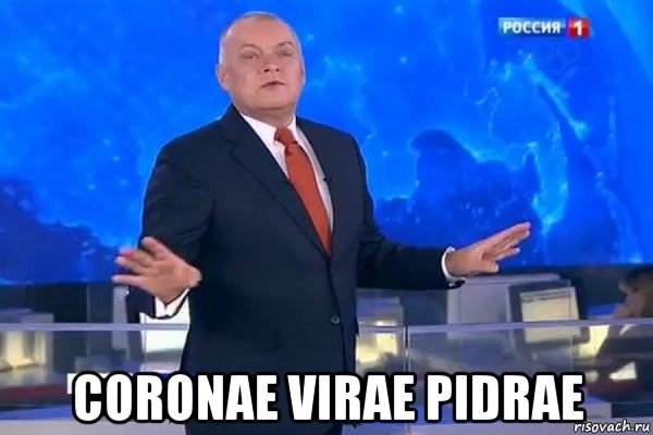  coronae virae pidrae