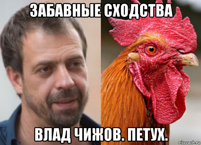 забавные сходства влад чижов. петух., Мем Ко-ко