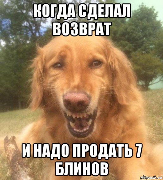 когда сделал возврат и надо продать 7 блинов, Мем   Когда увидел что соседского кота отнесли в чебуречную