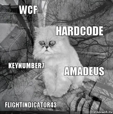 WCF Amadeus HardCode FlightIndicator43 KeyNumber7     , Комикс  кот безысходность
