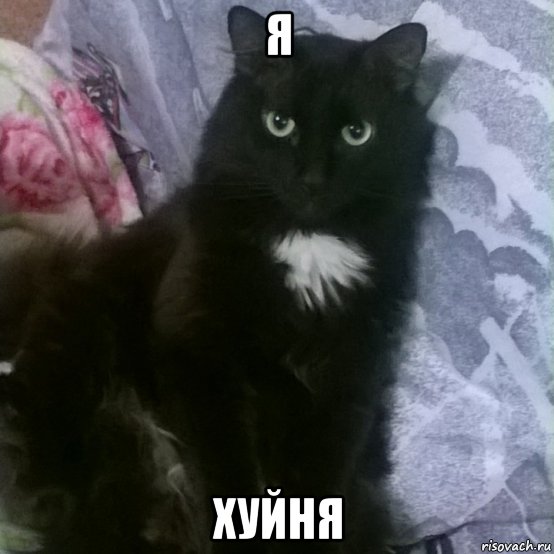 я хуйня