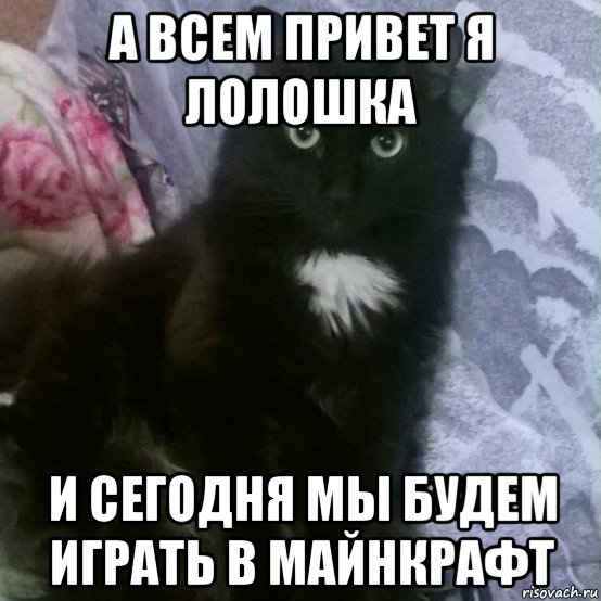 а всем привет я лолошка и сегодня мы будем играть в майнкрафт